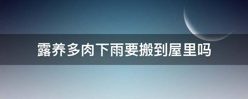 露养多肉下雨要搬到屋里吗（多肉放室外下雨要不要搬进来）