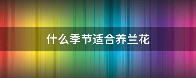 什么季节适合养兰花（兰花适合什么时候养）