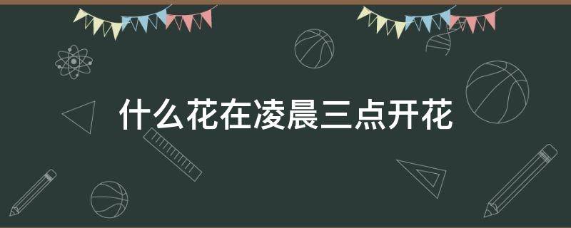 什么花在凌晨三点开花 什么花在凌晨3点开花