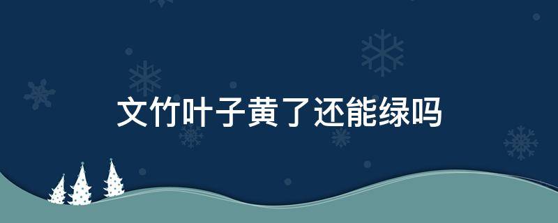 文竹叶子黄了还能绿吗 文竹的叶子黄了还能绿回来吗