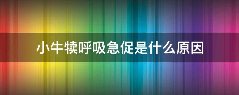 小牛犊呼吸急促是什么原因 新生小牛犊呼吸急促是什么原因