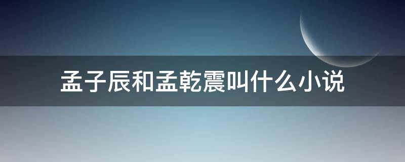 孟子辰和孟乾震叫什么小说（孟子辰是哪部小说里面）