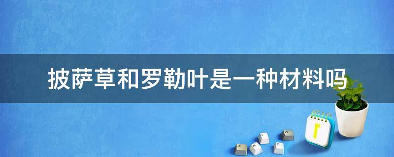 披萨草和罗勒叶是一种材料吗 什么是披萨草叶