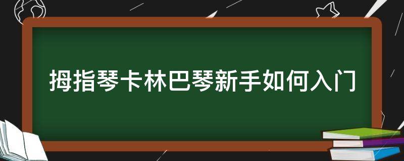 拇指琴卡林巴琴新手如何入门 拇指琴卡林巴琴怎么弹