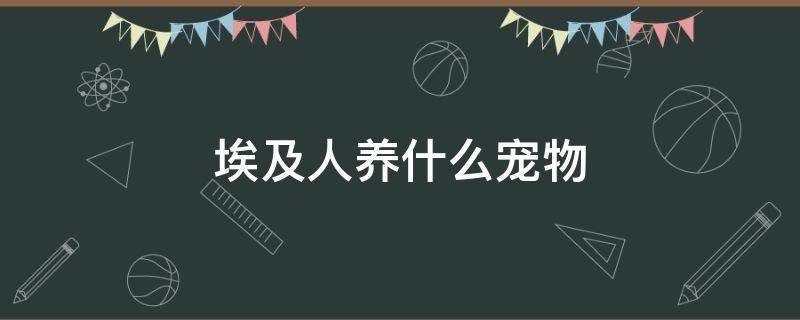 埃及人养什么宠物 埃及不养什么动物