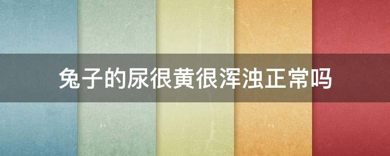 兔子的尿很黄很浑浊正常吗（兔子的尿很黄是什么原因）
