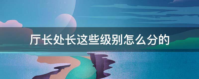 厅长处长这些级别怎么分的 厅长和局长级别