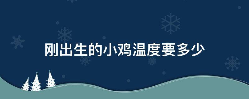 刚出生的小鸡温度要多少 刚出生的小鸡温度要多少度