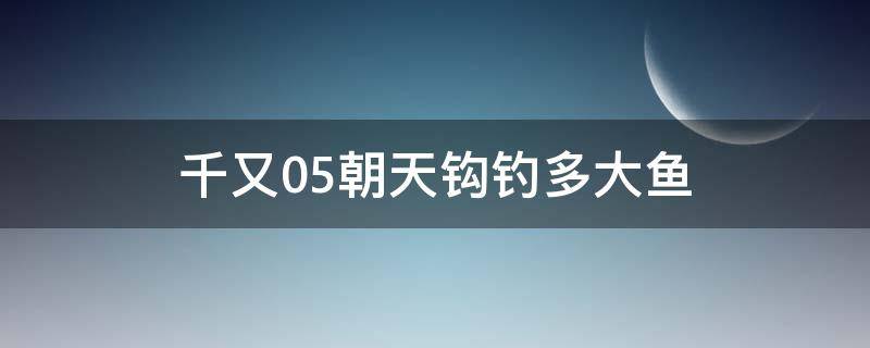 千又0.5朝天钩钓多大鱼 朝天钩千又0.3 能钓多大鱼