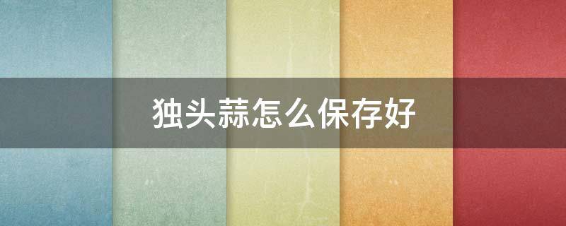 独头蒜怎么保存好 独头蒜怎样保存