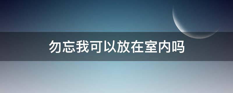 勿忘我可以放在室内吗（勿忘我可不可以放在室内）