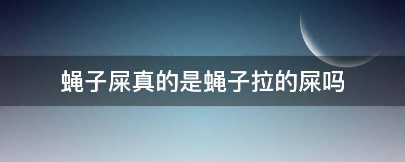 蝇子屎真的是蝇子拉的屎吗（蝇子拉的屎是蛆吗）