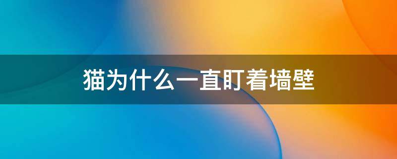 猫为什么一直盯着墙壁 猫为什么一直盯着墙壁叫