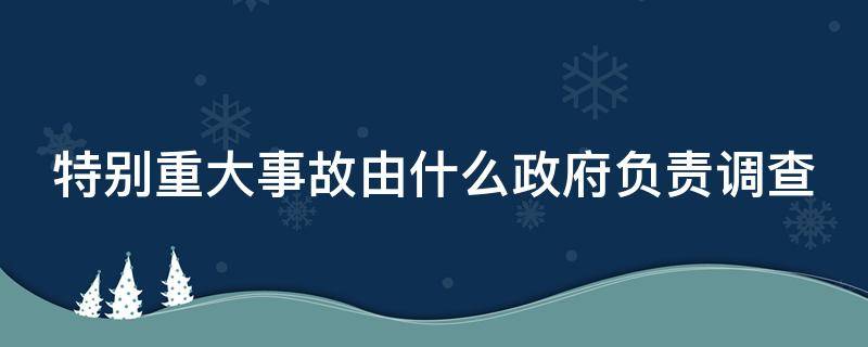 特别重大事故由什么政府负责调查（特别重大事故由什么单位负责调查）