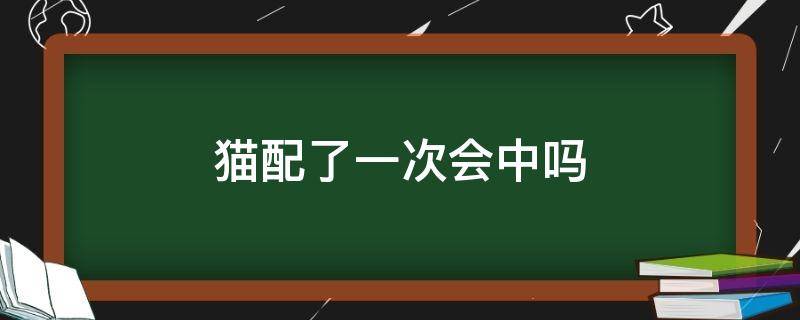 猫配了一次会中吗（猫配一次可以成功吗）