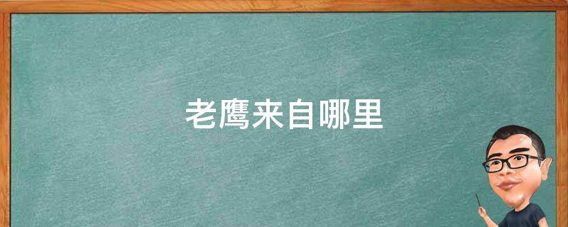 老鹰来自哪里 老鹰来自哪里老鼠来自哪里大袋鼠来自哪里?