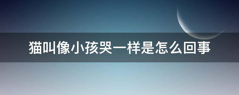 猫叫像小孩哭一样是怎么回事 猫叫像小孩哭一样是怎么回事oo