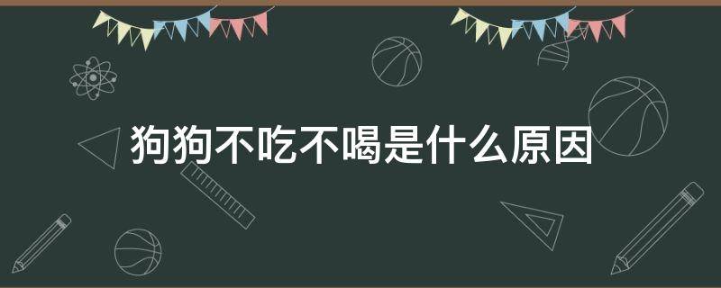 狗狗不吃不喝是什么原因（狗狗不吃不喝是什么原因?）