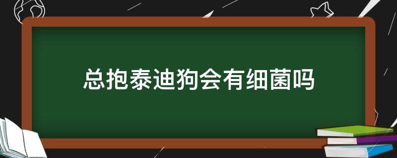 总抱泰迪狗会有细菌吗 泰迪狗有菌吗?小孩老是抱