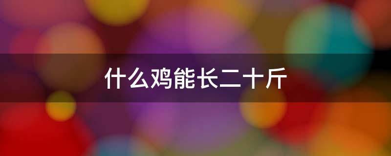 什么鸡能长二十斤 肉食鸡能长到二十斤