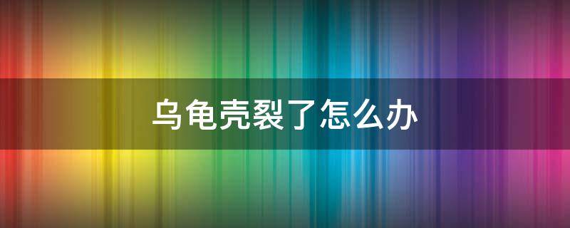 乌龟壳裂了怎么办 乌龟壳裂了怎么回事