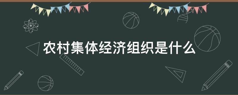 农村集体经济组织是什么（农村集体经济组织是什么意思）