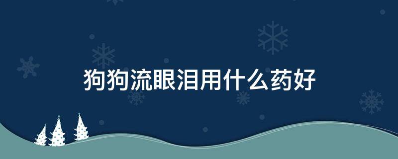 狗狗流眼泪用什么药好 幼犬流眼泪用什么药好