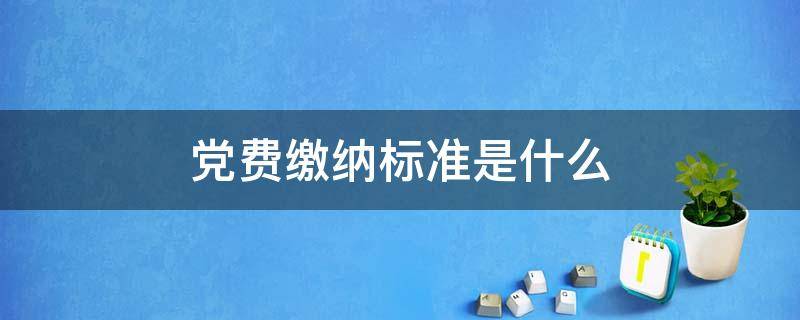 党费缴纳标准是什么（党费缴纳标准是什么时候调整的）