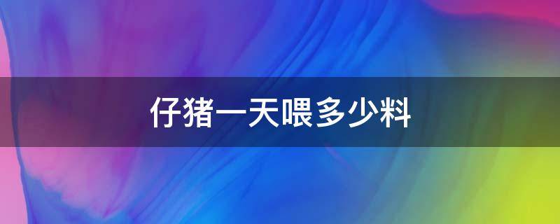 仔猪一天喂多少料（仔猪多少天开始喂料）