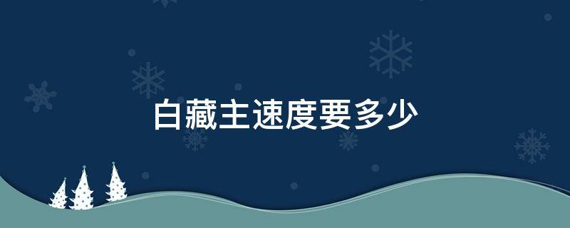 白藏主速度要多少 白藏主速度要多少一速