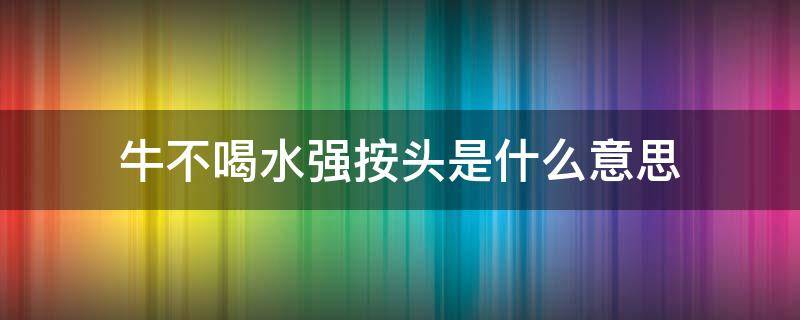 牛不喝水强按头是什么意思（牛不喝水强按头是什么生肖）