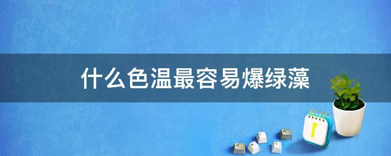 什么色温最容易爆绿藻 爆藻用什么色温比较好