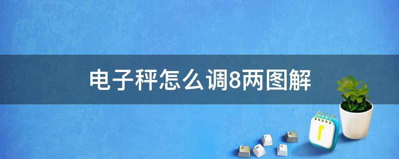 电子秤怎么调8两图解（电子秤如何调8两）