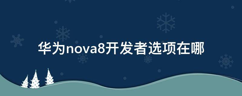 华为nova8开发者选项在哪（华为nova8开发人员选项在哪）