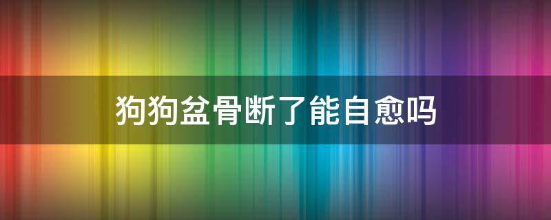 狗狗盆骨断了能自愈吗 狗狗的骨盆断了怎么办