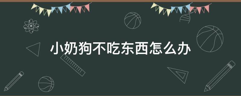 小奶狗不吃东西怎么办 一个月小奶狗不吃东西怎么办