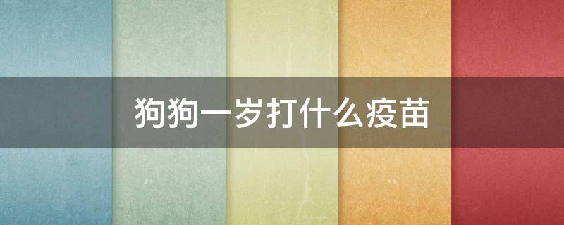 狗狗一岁打什么疫苗（狗狗一岁打什么疫苗多少钱）