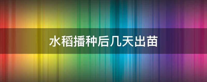 水稻播种后几天出苗 水稻播种后几天出苗发黄