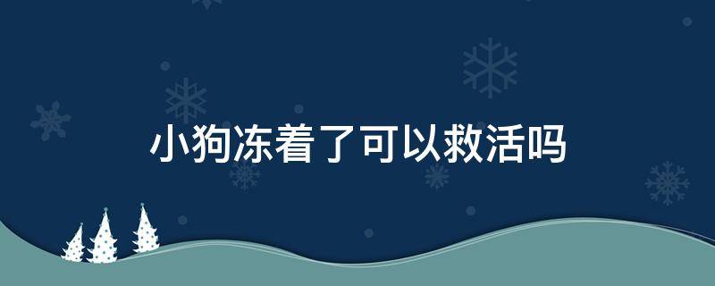 小狗冻着了可以救活吗（小狗冻死了还能救活吗）