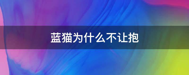 蓝猫为什么不让抱 蓝猫为啥不让抱