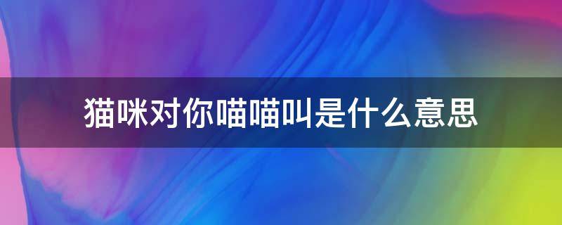 猫咪对你喵喵叫是什么意思 叫了猫咪他喵什么意思