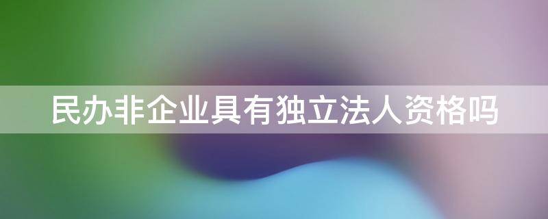 民办非企业具有独立法人资格吗 民办非企业具有独立法人资格吗为什么