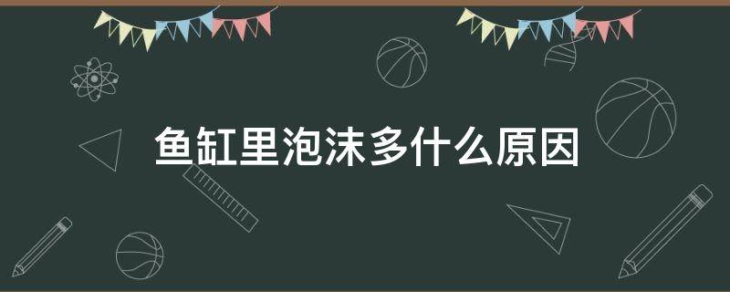 鱼缸里泡沫多什么原因 鱼缸里泡沫多是什么原因