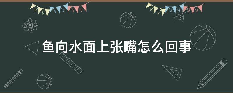 鱼向水面上张嘴怎么回事 鱼张嘴在水面是什么原因