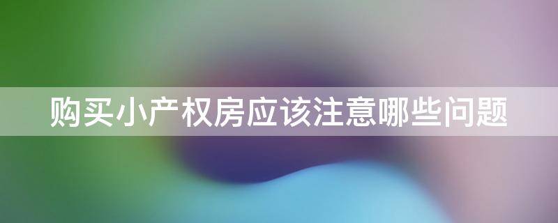 购买小产权房应该注意哪些问题（购买小产权房应该注意哪些问题和问题）