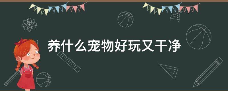 养什么宠物好玩又干净 养什么宠物好玩又干净又省钱