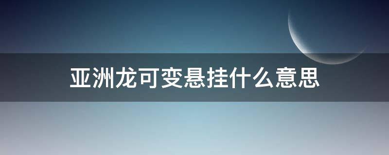 亚洲龙可变悬挂什么意思（亚洲龙的可调悬挂）