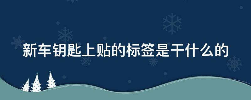 新车钥匙上贴的标签是干什么的 新车只给一把钥匙的猫腻