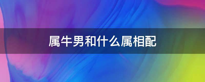 属牛男和什么属相配 属牛男和什么属相配好