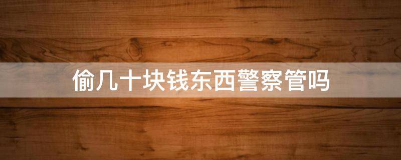 偷几十块钱东西警察管吗（几百块的东西被偷了警察会管吗）